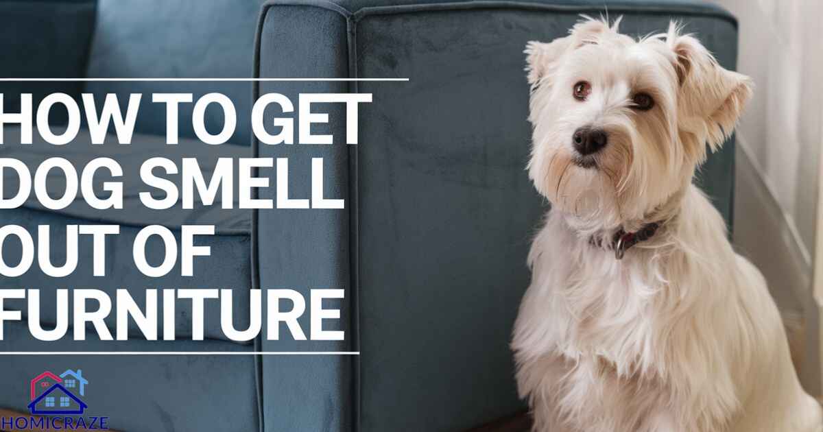 How to Get Dog Smell Out of Furniture: The Ultimate Guide for Pet Owners in 2024